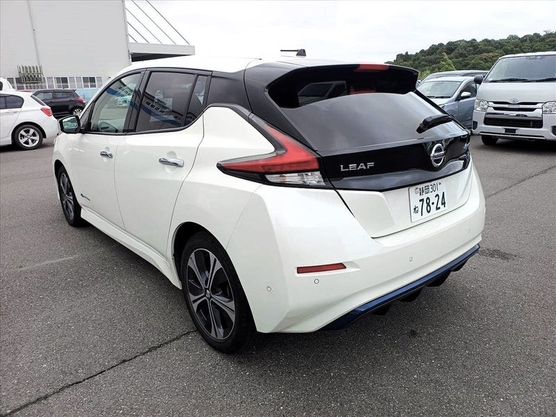2019 Nissan Leaf