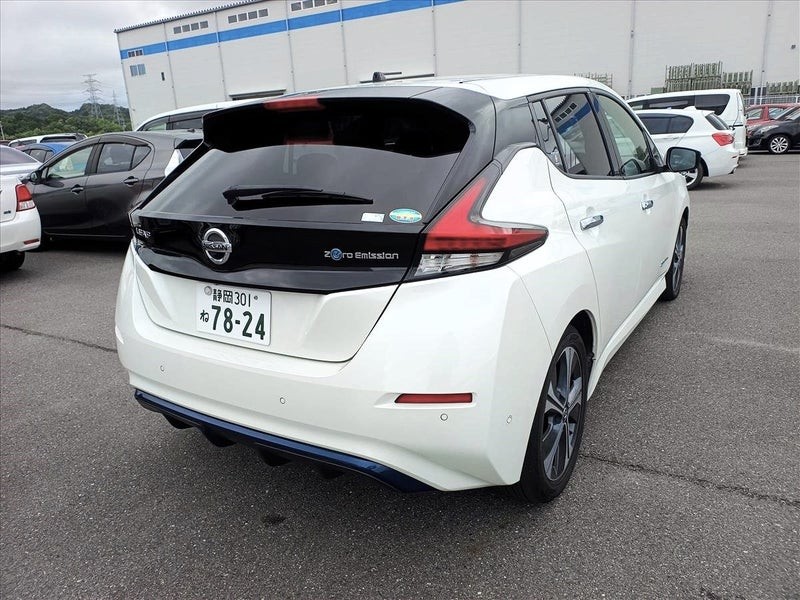 2019 Nissan Leaf